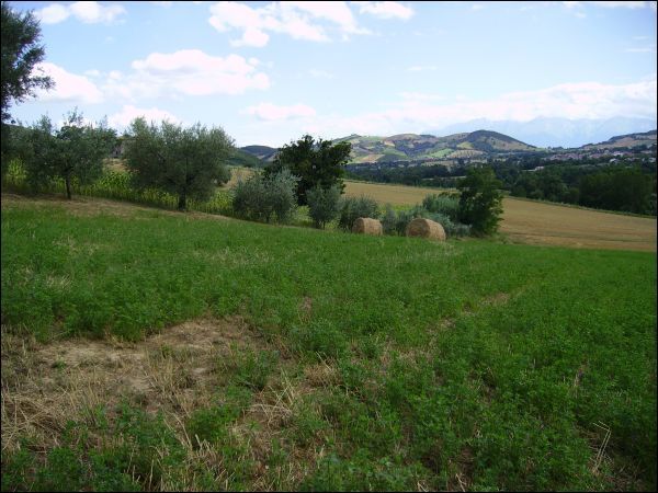 Agricolo in vendita a Civitella del Tronto