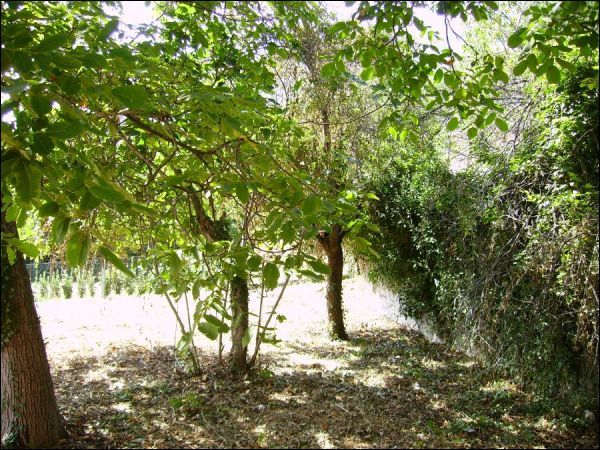 Casa colonica in vendita a Folignano