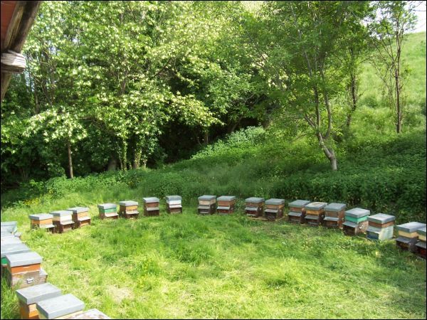 Casa colonica in vendita a Folignano