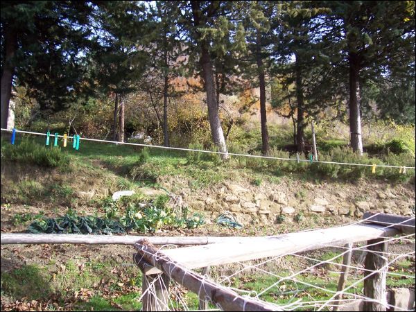 Casa indipendente in vendita a Valle Castellana