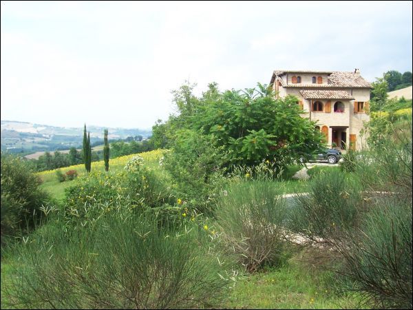 Casa colonica in vendita a Montedinove