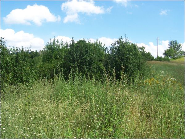 Rustico in vendita a Rotella