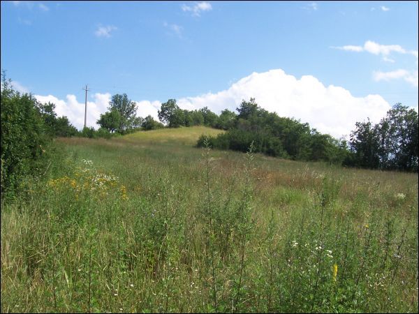 Rustico in vendita a Rotella