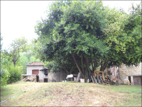 Semindipendente in vendita a Venarotta, Vallorano