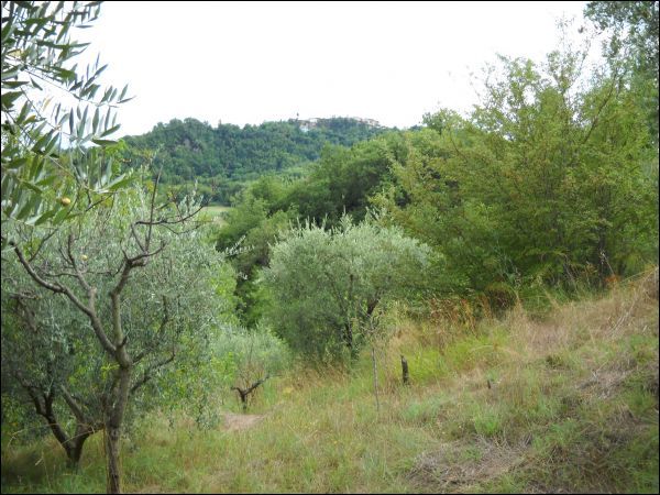 Semindipendente in vendita a Venarotta, Vallorano