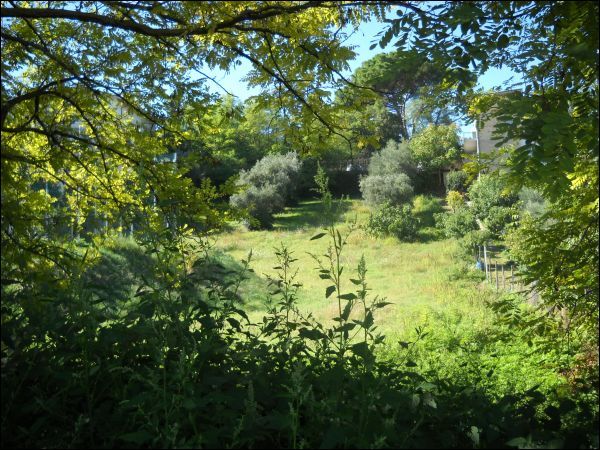 Edificabile in vendita a Sant'Omero