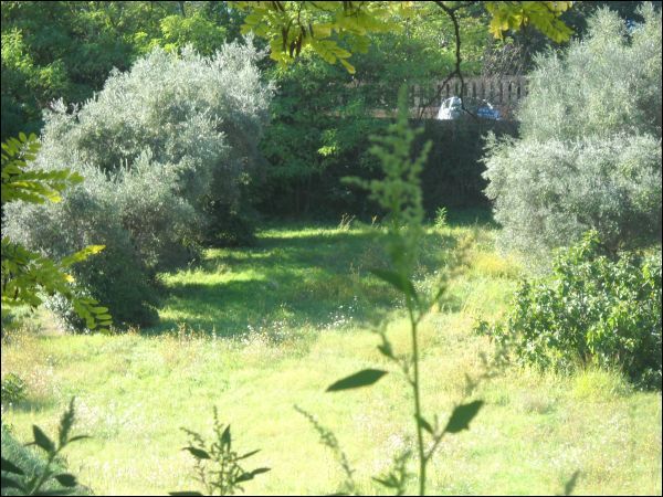 Edificabile in vendita a Sant'Omero