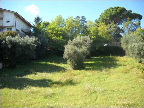Edificabile in vendita a Sant'Omero