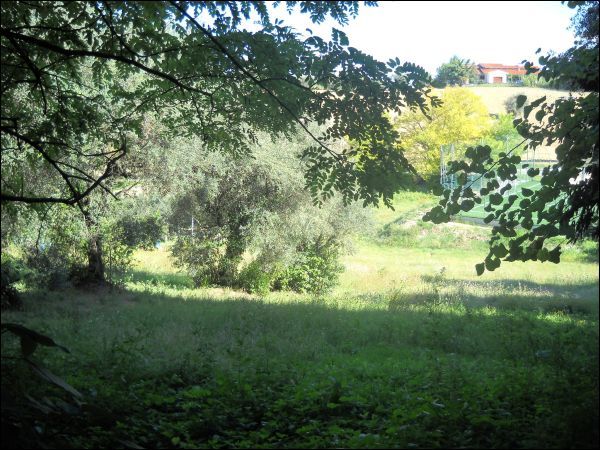 Edificabile in vendita a Sant'Omero
