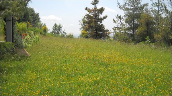 Villa in vendita a Castignano