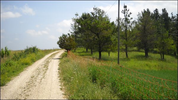Villa in vendita a Castignano