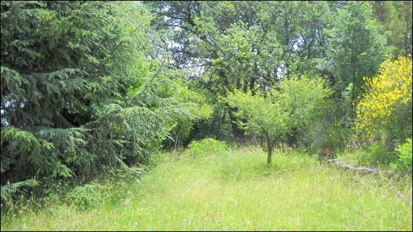 Villa in vendita a Castignano