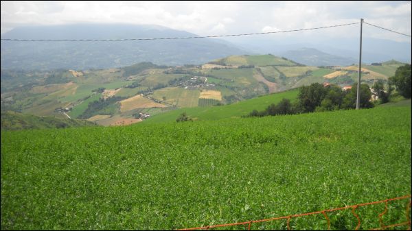 Villa in vendita a Castignano