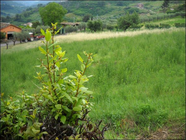 Appartamento in vendita a Ascoli Piceno, Monterocco