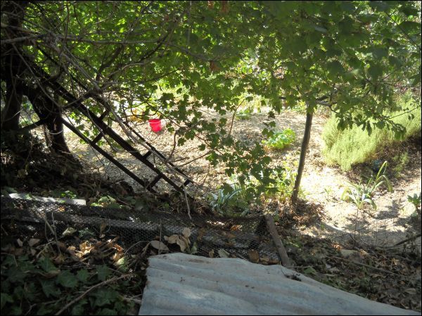 Semindipendente in vendita a Venarotta