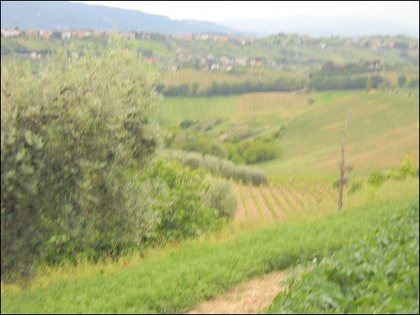 Casa colonica in vendita a Castorano