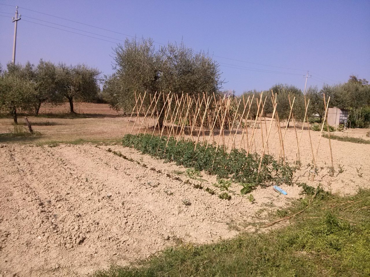 Casa colonica in vendita a Sant'Egidio alla Vibrata