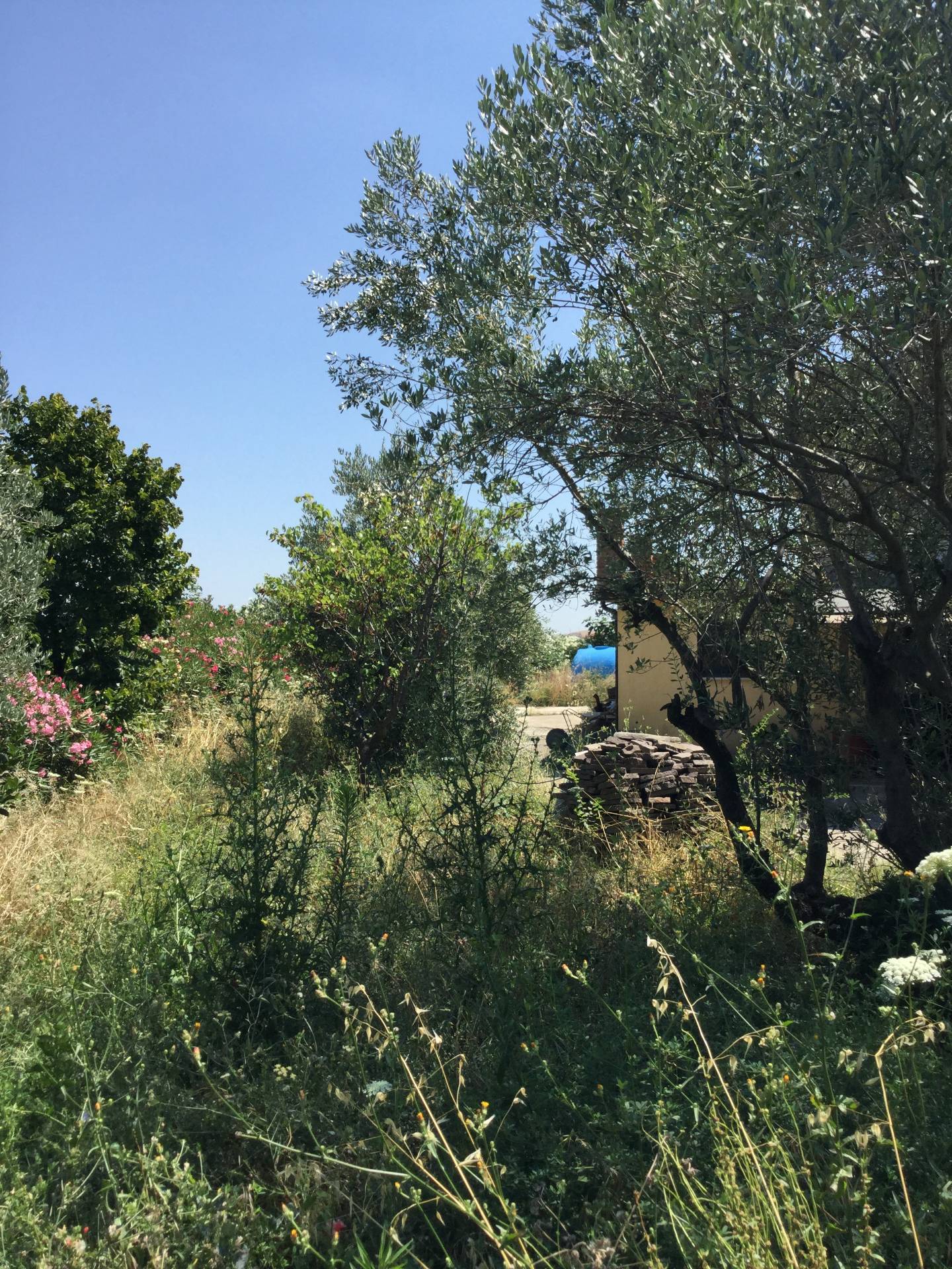 Villa in vendita a Ascoli Piceno, Monticelli Alto