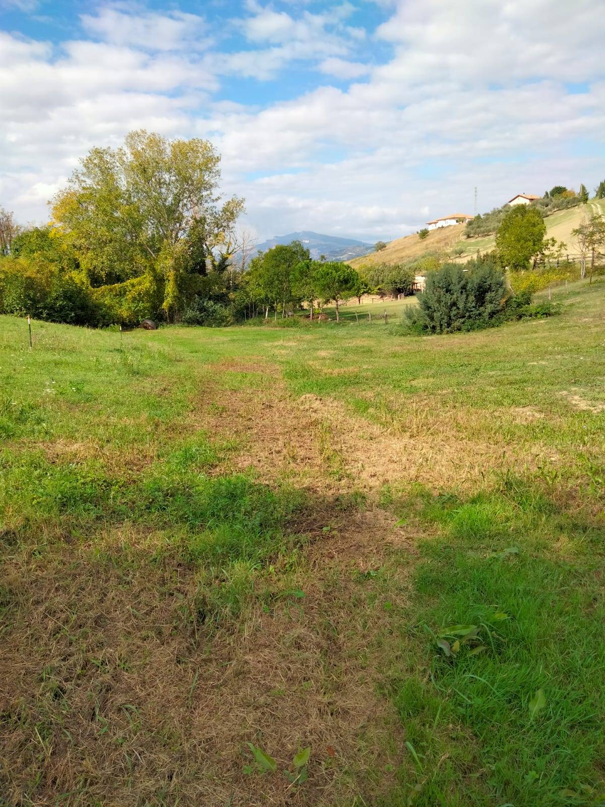 immagine annuncio 4 di 8