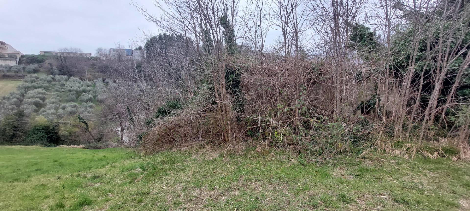 Casa colonica in vendita a Folignano, Piane di Morro