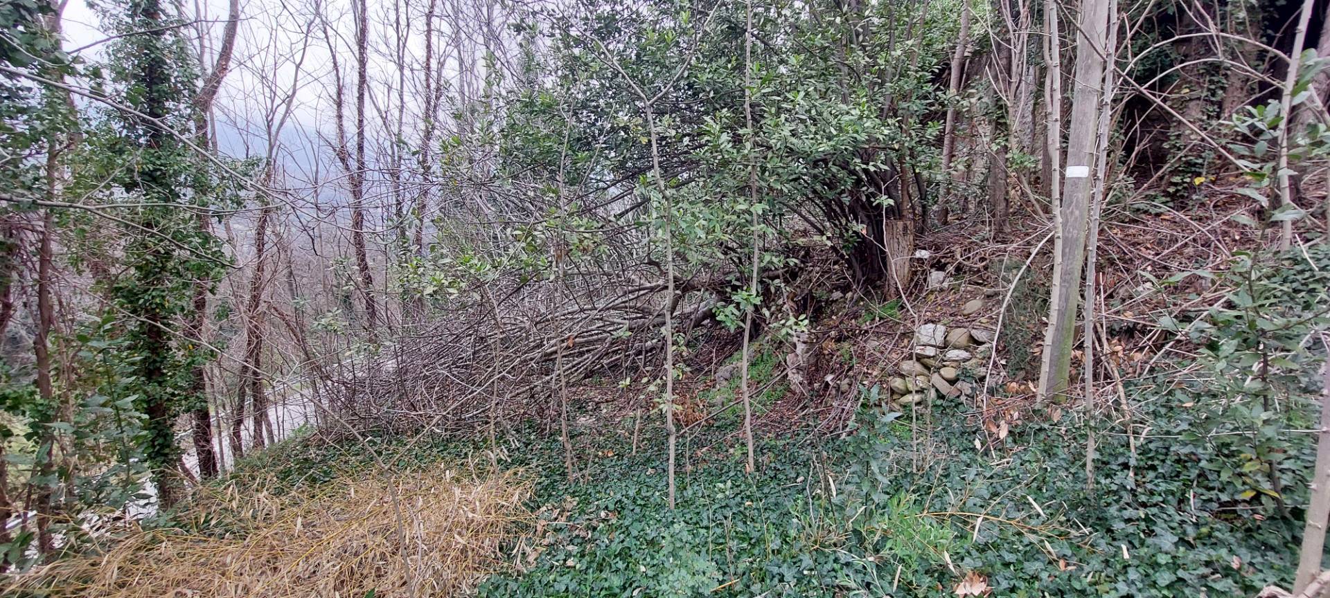 Casa colonica in vendita a Folignano, Piane di Morro