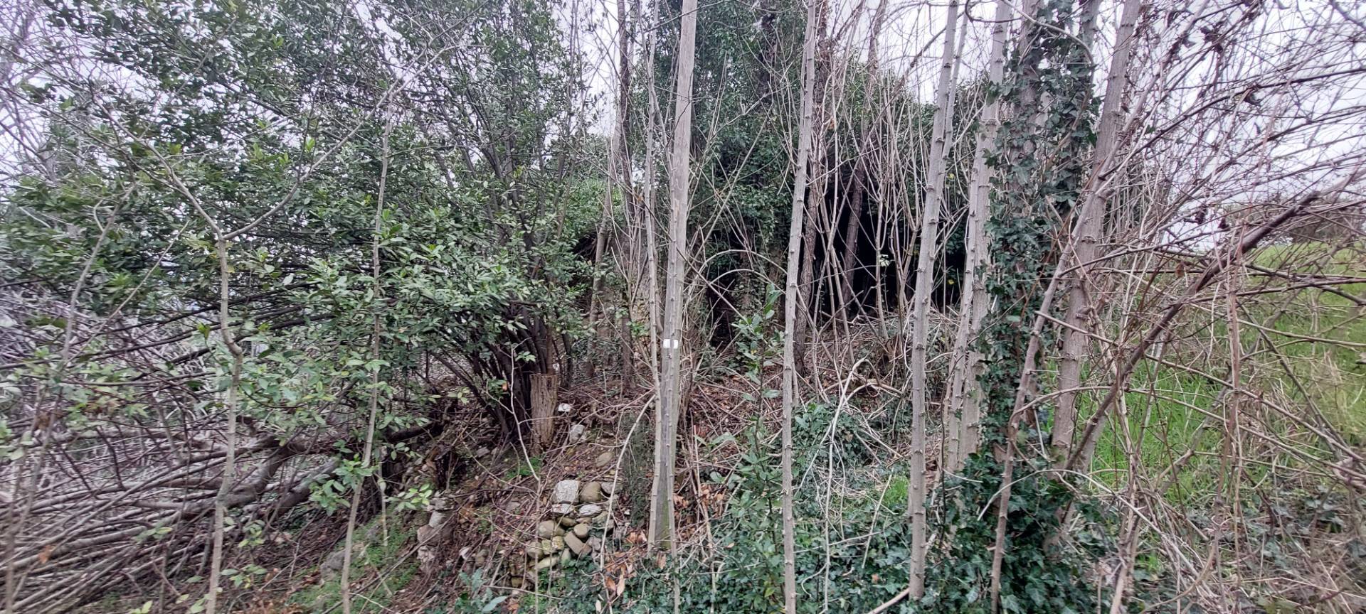 Casa colonica in vendita a Folignano, Piane di Morro