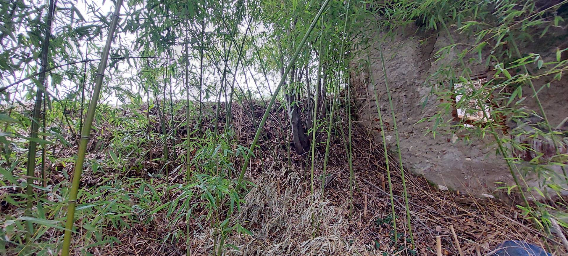 Casa colonica in vendita a Folignano, Piane di Morro