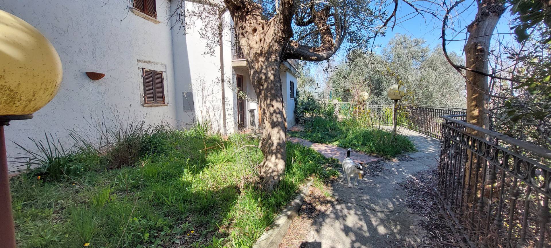 Casa colonica in vendita a Ascoli Piceno, Lisciano