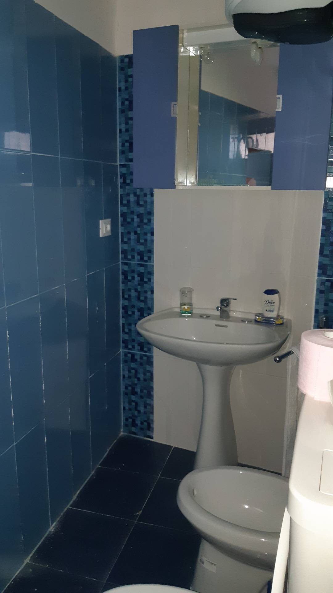 Indipendente in vendita a Ascoli Piceno, Rosara