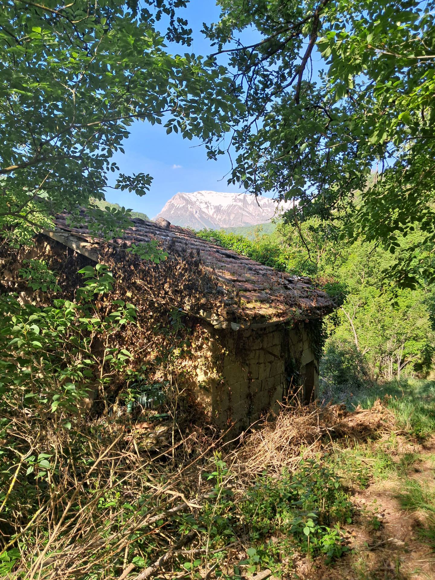 Casa colonica in vendita a Montegallo, Uscerno