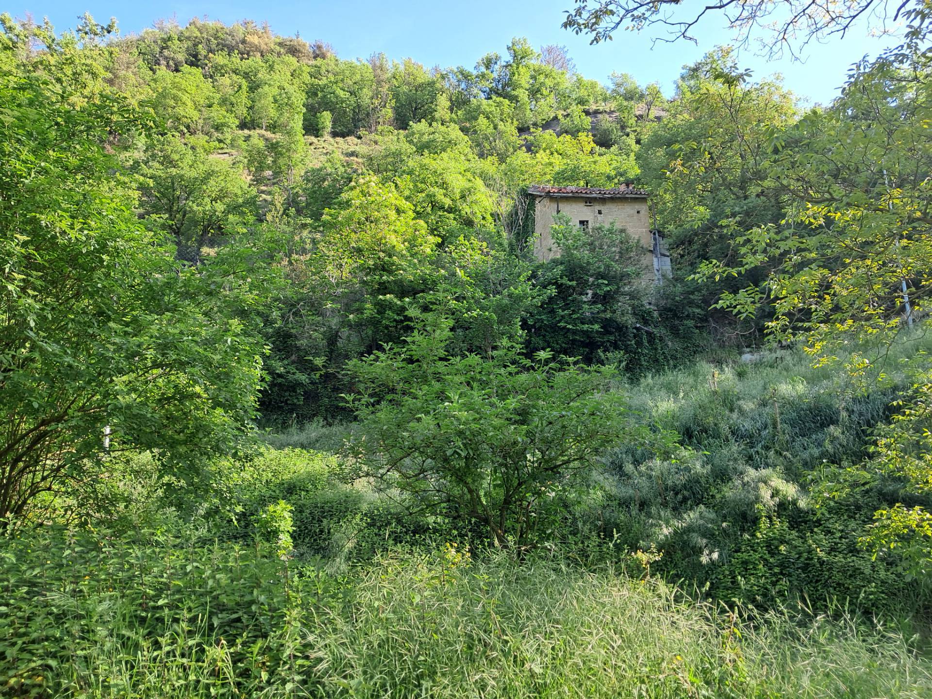 Casa colonica in vendita a Montegallo, Uscerno