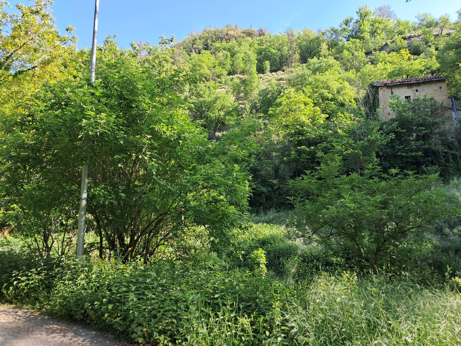 Casa colonica in vendita a Montegallo, Uscerno