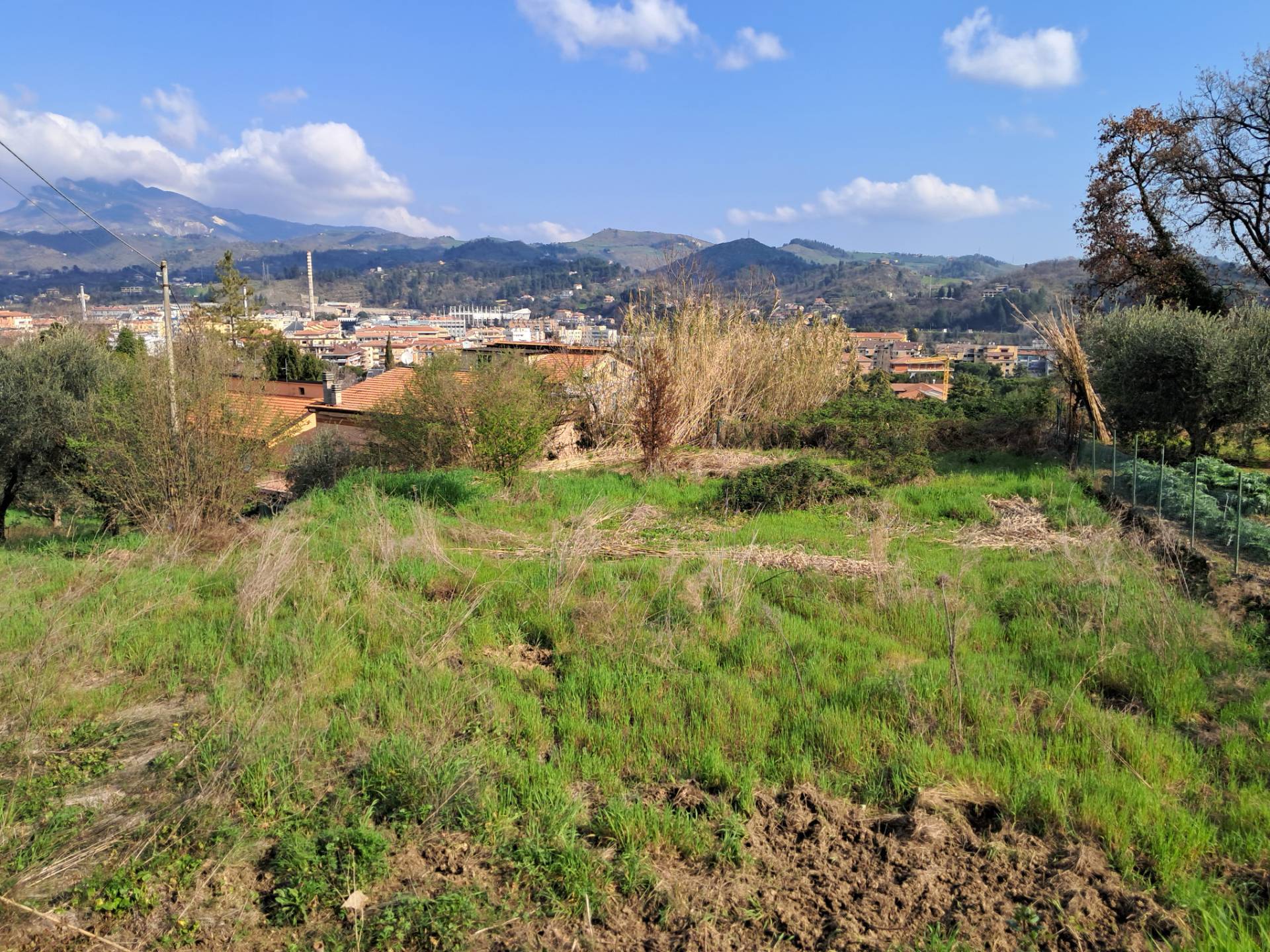 Terreno edificabile in vendita a Ascoli Piceno, P.ta Maggiore