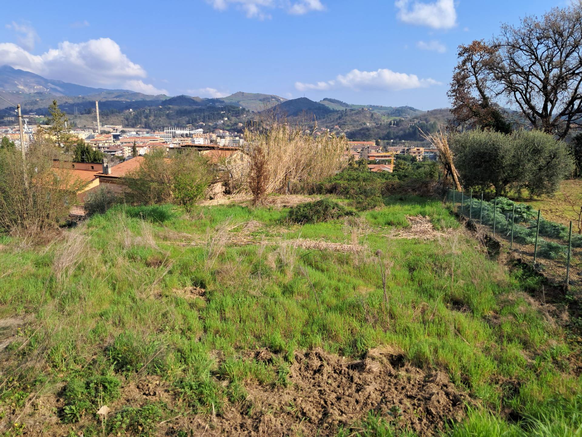 Terreno edificabile in vendita a Ascoli Piceno, P.ta Maggiore