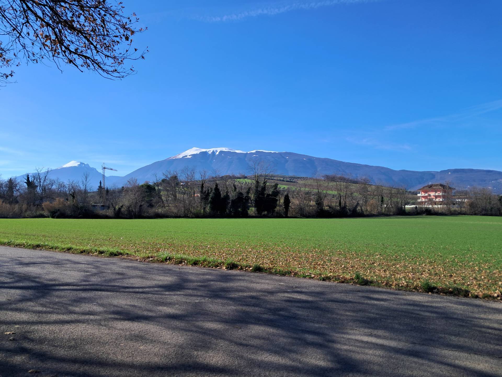 Casa colonica in affitto a Maltignano