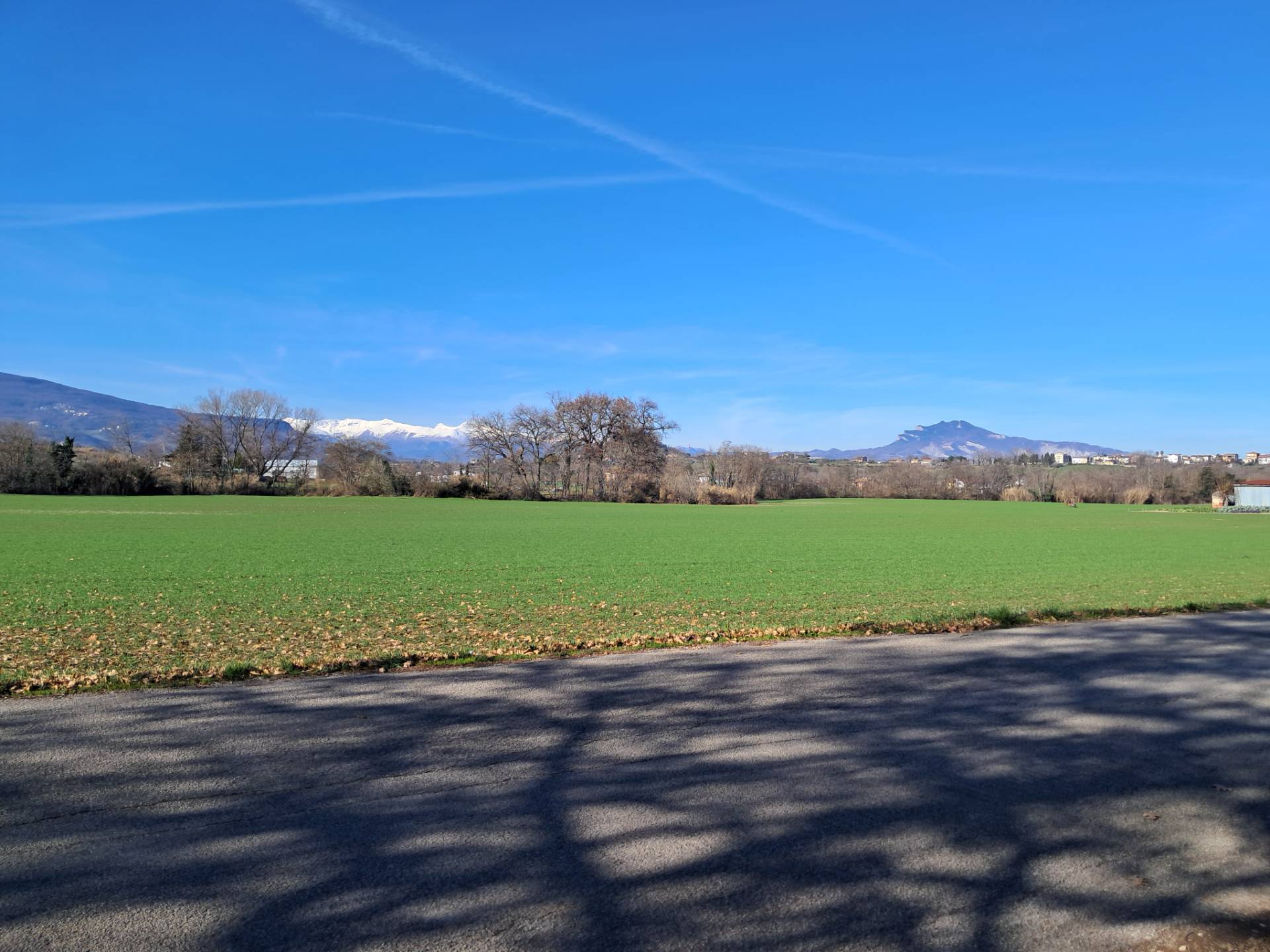 Casa colonica in affitto a Maltignano