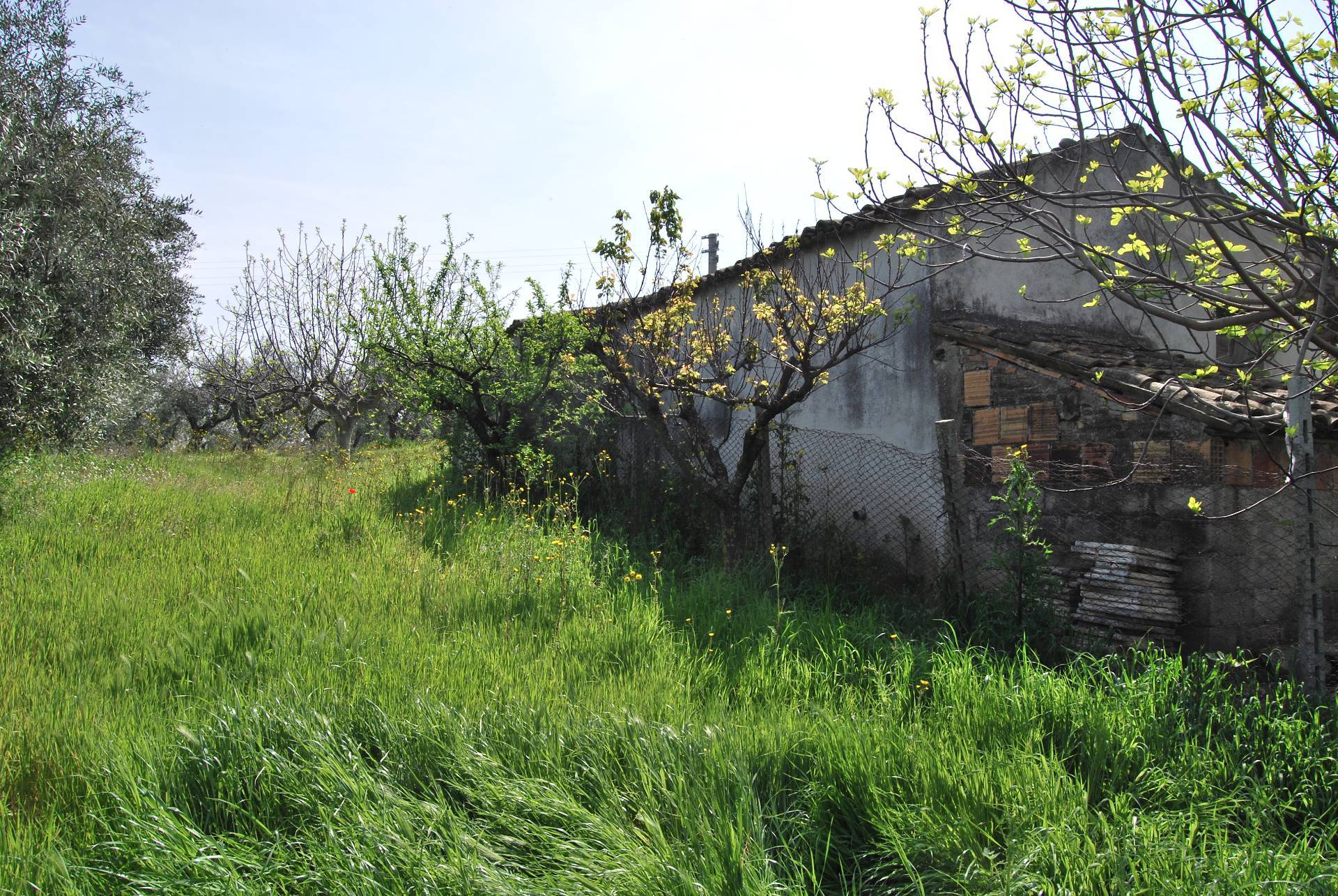 immagine annuncio 4 di 6