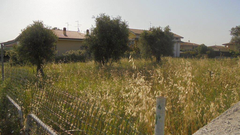 Terreno edificabile in vendita a Rosciano, Villa Oliveti