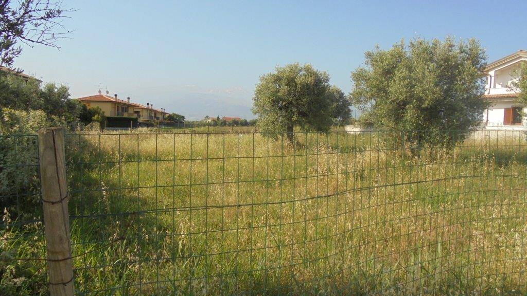immagine annuncio 2 di 6