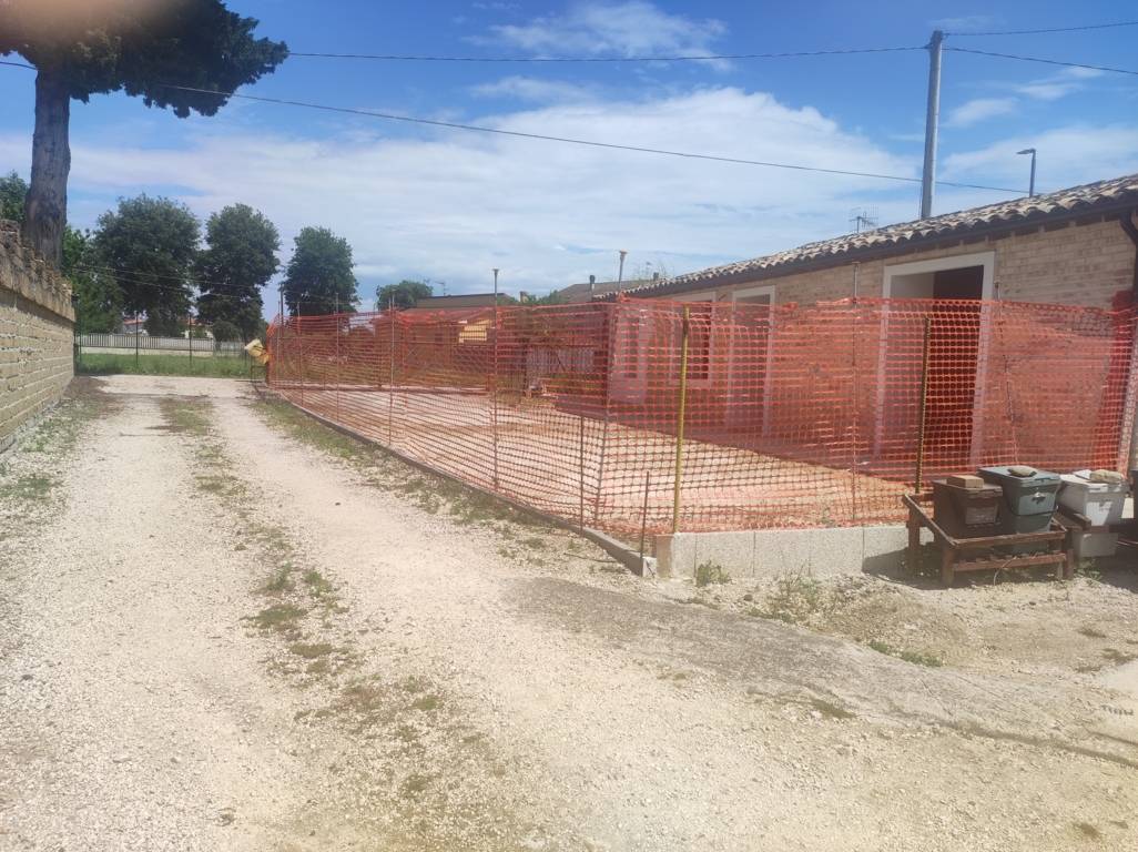 immagine annuncio 3 di 6