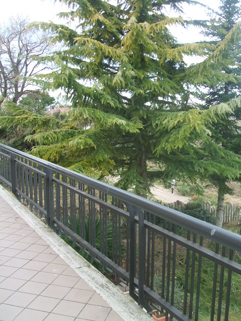 Appartamento in affitto a Chieti, Chieti periferia