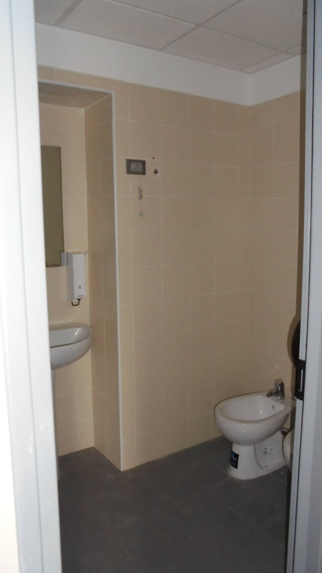 Locale commerciale in affitto a Nocciano