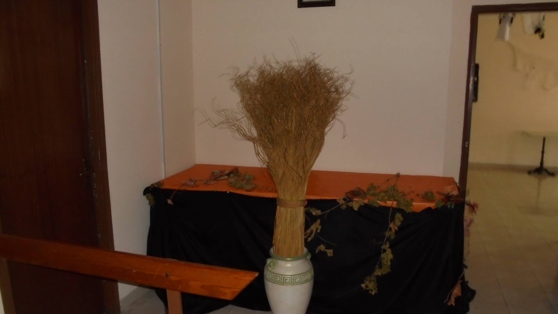 Attivit commerciale in affitto a Nocciano