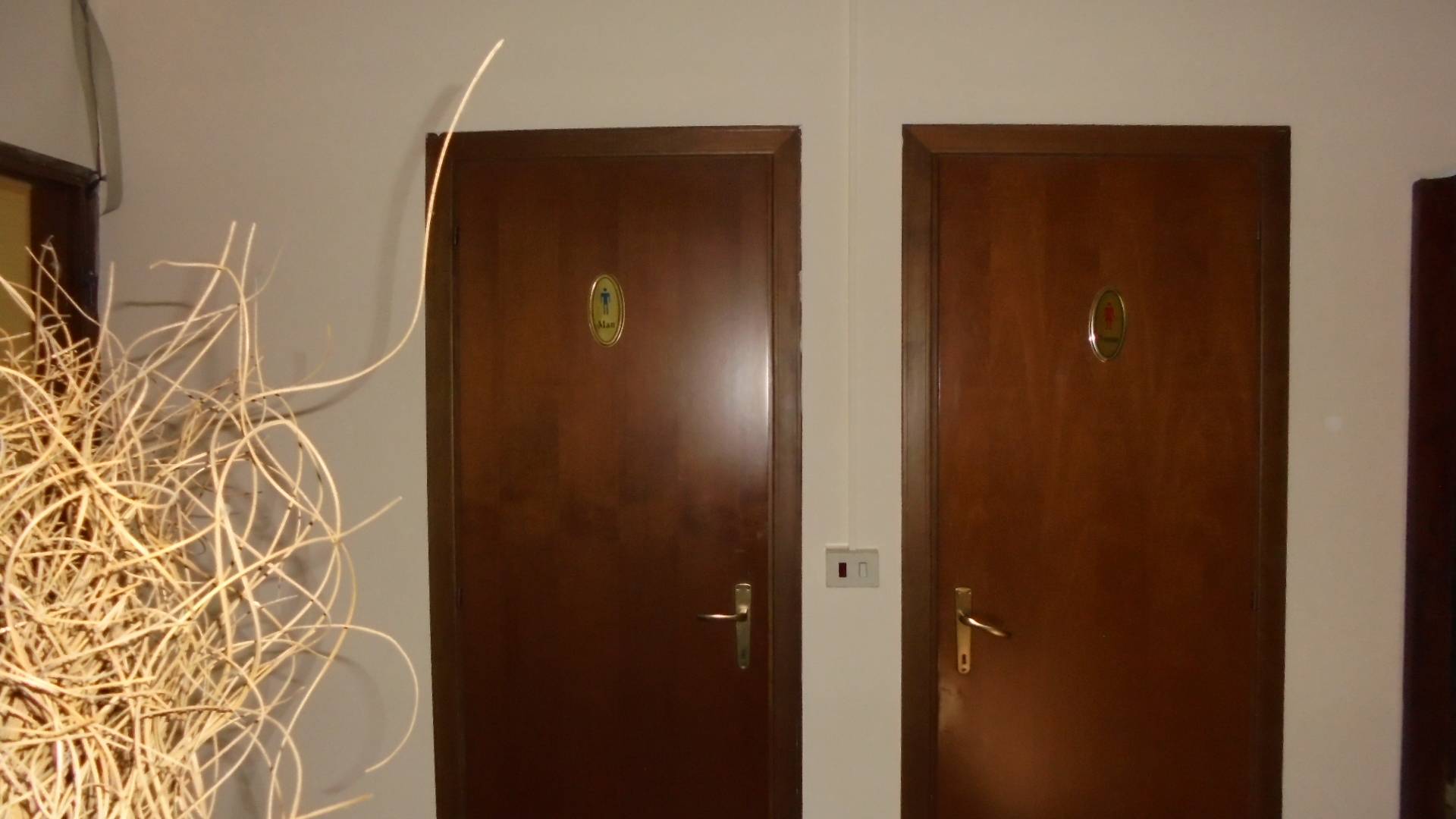 Attivit commerciale in affitto a Nocciano