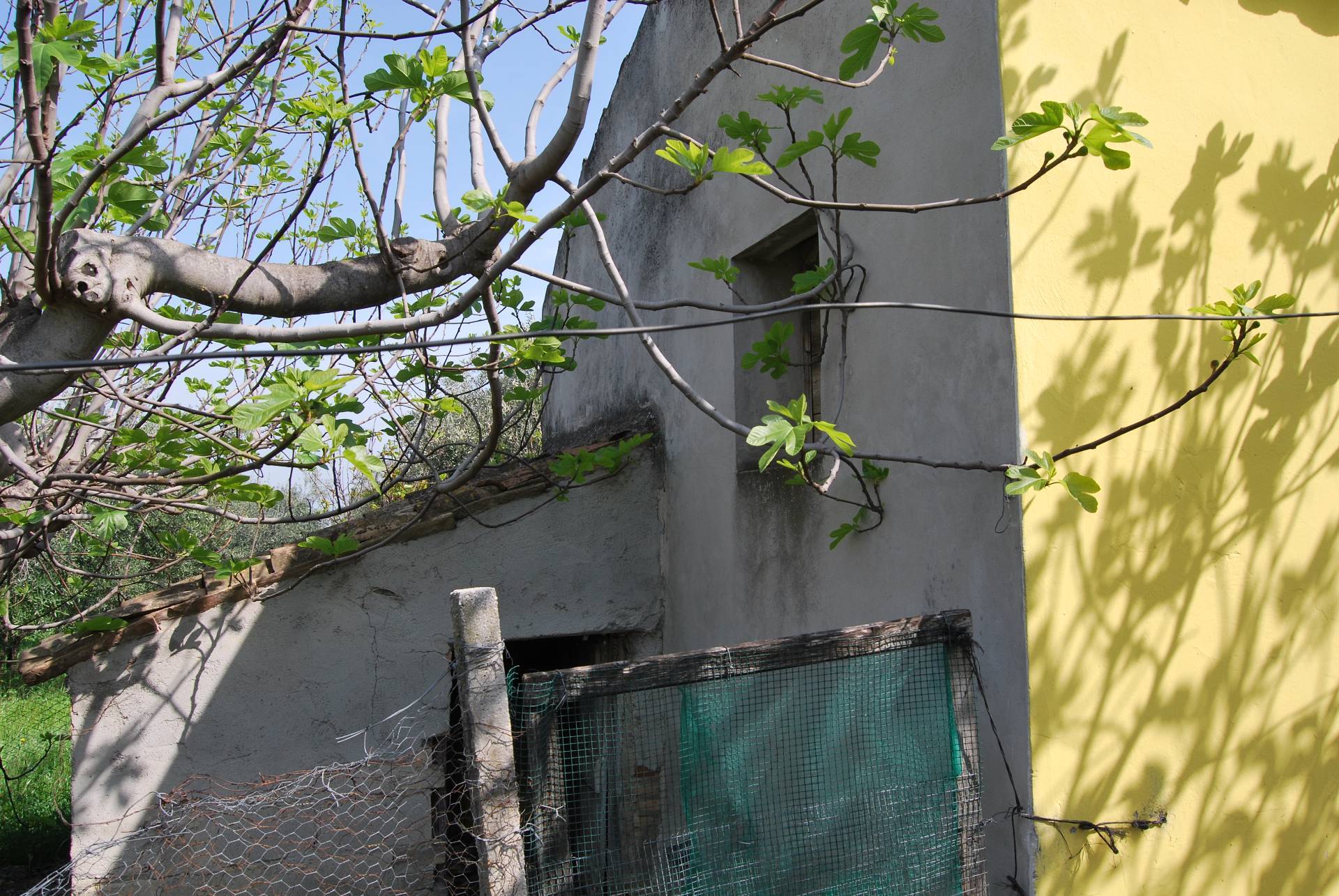 Casa indipendente in vendita a Rosciano