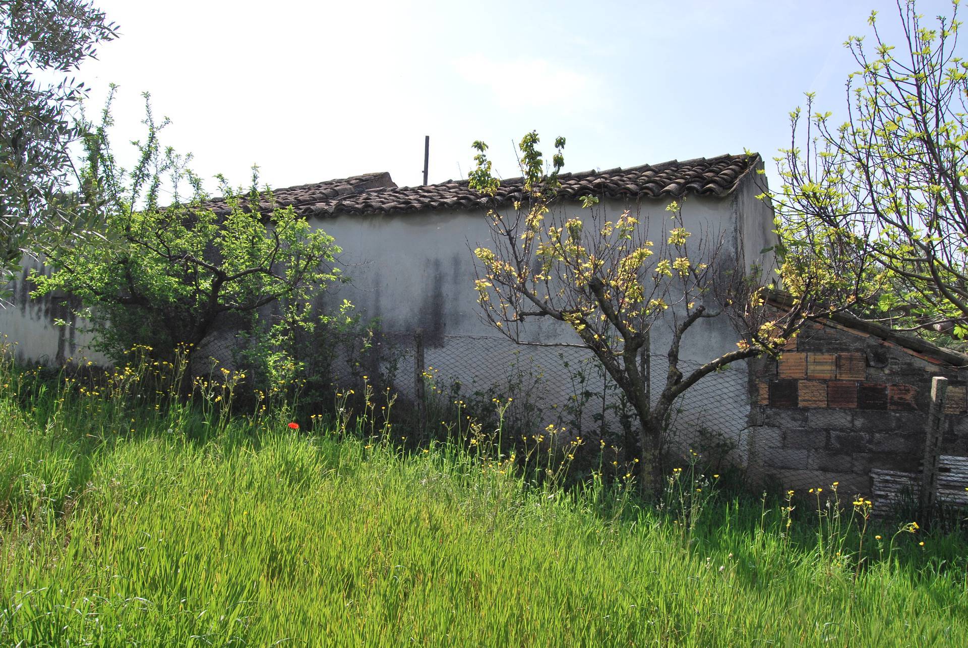 Casa indipendente in vendita a Rosciano