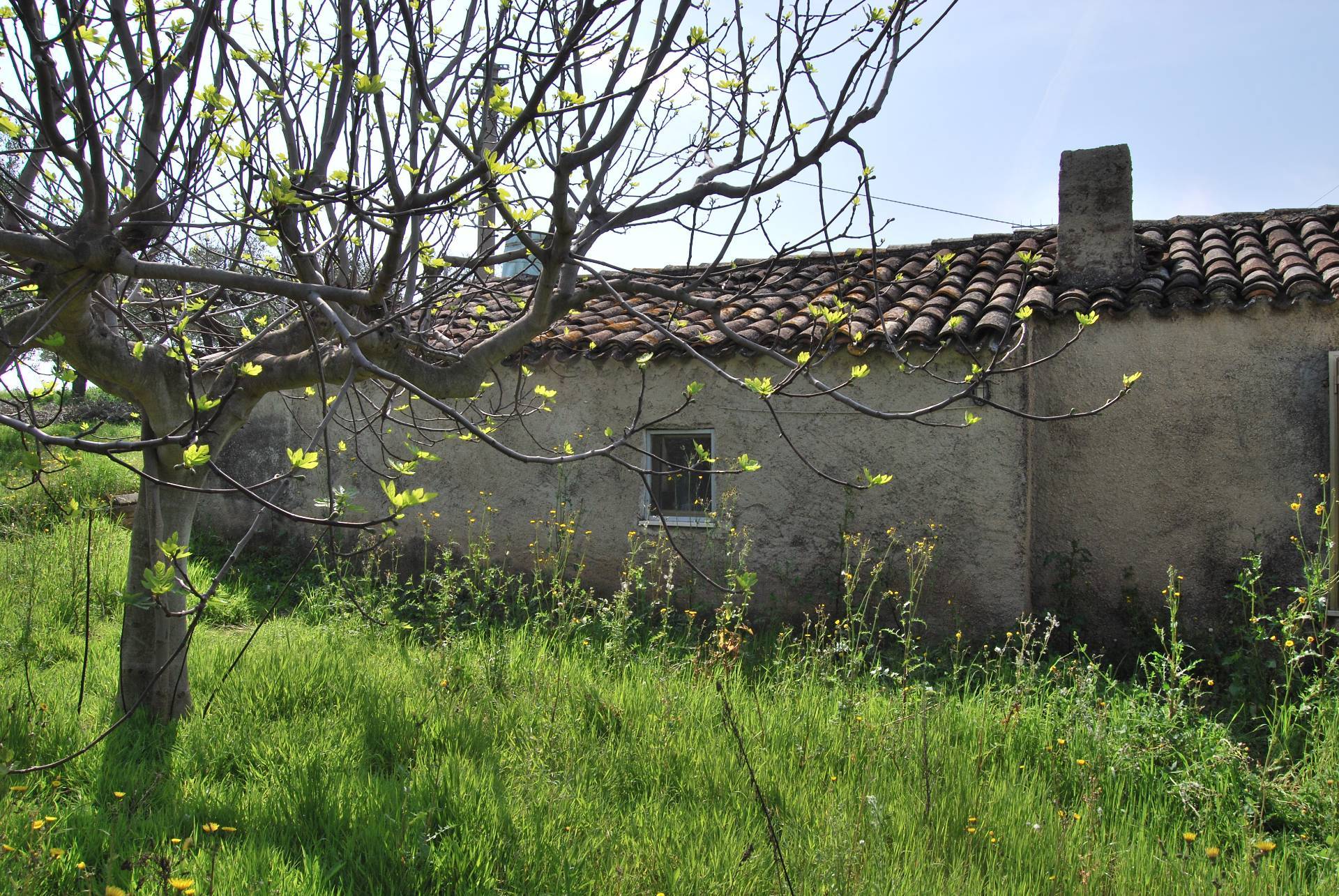Casa indipendente in vendita a Rosciano