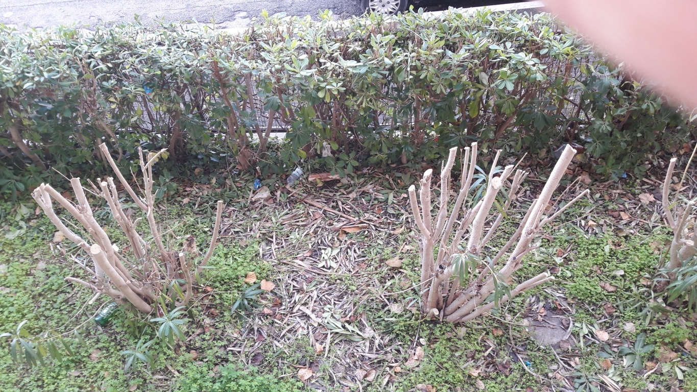 Appartamento in affitto a Chieti, Pietragrossa