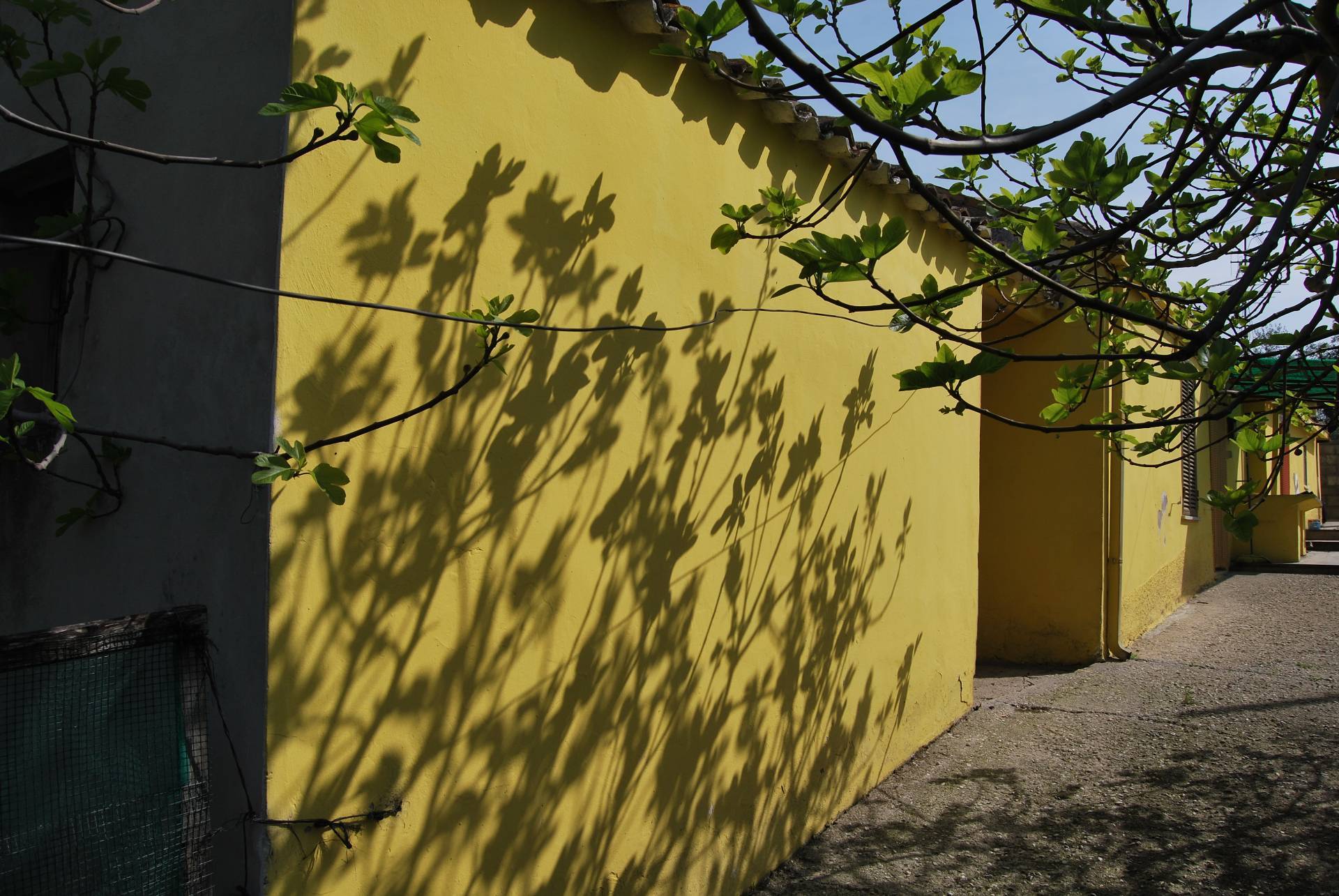 Casa indipendente in vendita a Rosciano