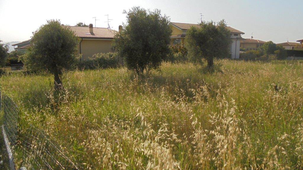 immagine annuncio 1 di 8